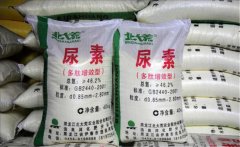 氮肥利用率大約是多少，氮肥是尿素肥嗎？