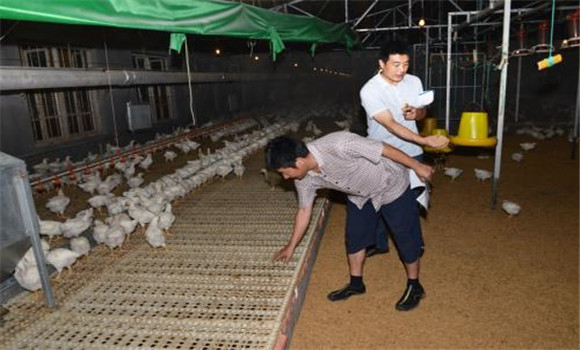 無污染、零排放