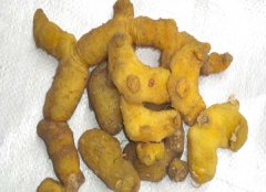 黃精的產(chǎn)地有哪些？