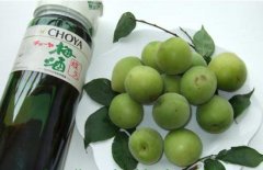 怎樣自制梅子酒？介紹梅子酒的做法