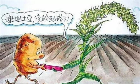 改善栽培制度，合理輪作