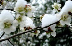 小寒節(jié)氣是什么意思？小寒節(jié)氣的氣候特征
