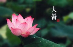 大暑是幾月幾日，大暑的節(jié)日民俗的哪些？