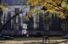 寒露是什么意思，寒露的氣候特征有哪些？