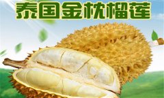 榴蓮品種介紹 常見(jiàn)的榴蓮品種有哪些？
