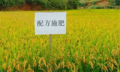 測土配方施肥的意義、作用