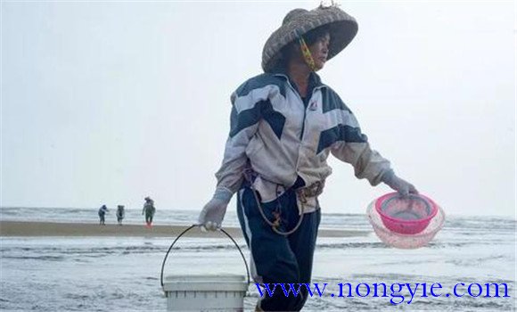 拉網(wǎng)鍛煉應注意的事項
