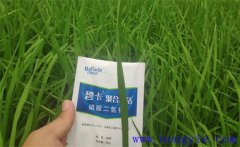 沖施肥哪個(gè)品牌好？沖施肥和水溶肥的區(qū)別