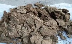 雞糞如何發(fā)酵成有機(jī)肥，用什么發(fā)酵菌好？