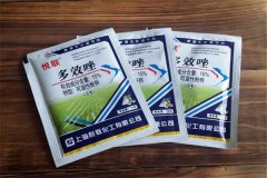 如何正確使用多效唑，用多了發(fā)生藥害怎么辦？