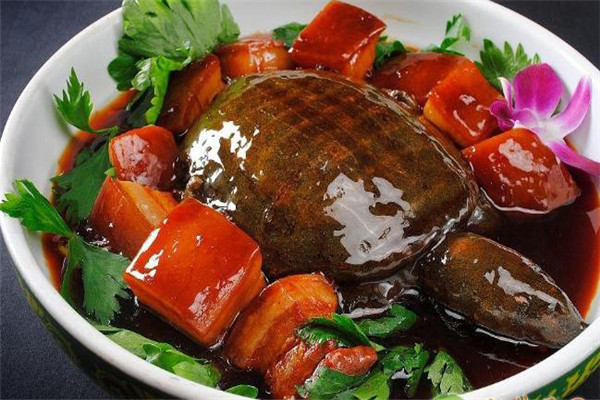 甲魚(yú)的營(yíng)養(yǎng)價(jià)值、性味功效