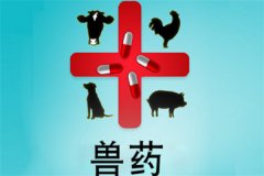 獸藥屬于藥品嗎？獸藥與人用藥的區(qū)別是什么？