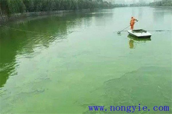 調(diào)，即調(diào)節(jié)水質(zhì)