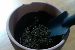 如何正確使用多菌靈 需注意什么，用多了會(huì)怎樣