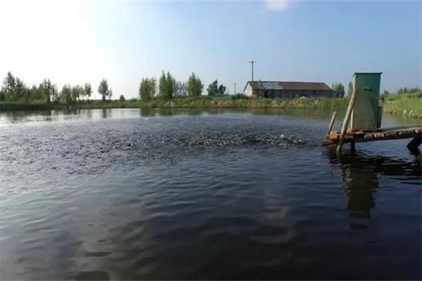 魚池面積、水深和底質(zhì)