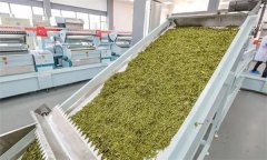 扁形名優(yōu)綠茶機(jī)械加工的具體方法是什么？