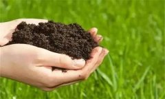 生物有機(jī)肥的功效與作用有哪些？