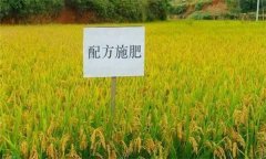 什么是配方施肥技術(shù)，配方施肥應(yīng)遵循哪些原理