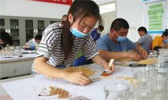 農(nóng)作物的種子質(zhì)量檢驗(yàn)包括哪些內(nèi)容？