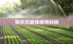 農(nóng)藥用藥時(shí)間問題：適時(shí)用藥是關(guān)鍵！