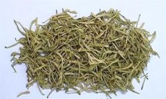 如何科學(xué)飲用金銀花茶？需注意哪些事項(xiàng)？