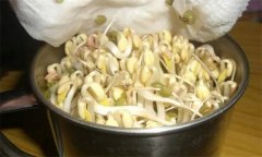 生產(chǎn)綠豆芽苗菜如何進(jìn)行沖淋水？